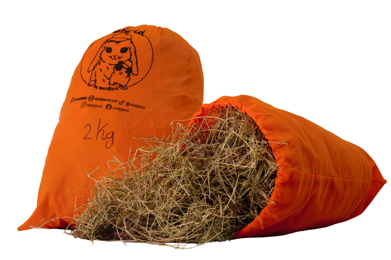 heno para desgaste dental