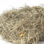 heno pangola medellin, heno saludable para roedores