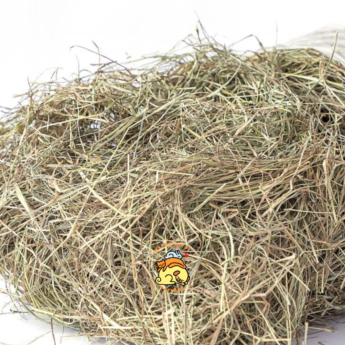 heno pangola medellin, heno saludable para roedores